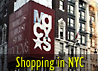 Sightseeing Walking in New York City - New York Tourist Guide, New York Visit : Sightseeing Walking in New York City NYC New York City