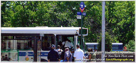 MTA Bus