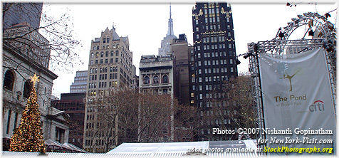 The Pond at Bryant Park