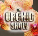 Orchid Show at New York Botanical Garden