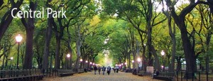 central park top 10 must see attractions new york